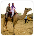 Camel Safari, Rajasthan