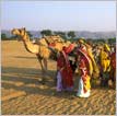 Colorful Heritage Tour  Rajasthan