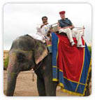 Elephant Ride, Jaipur