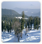 Gulmarg