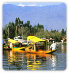 Shikara Boat, Kashmir