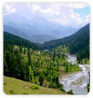 Valley of Shepherds - Pehalgam